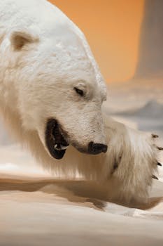 A powerful polar bear shows its dominance in the Arctic landscape, emphasizing wildlife strength.